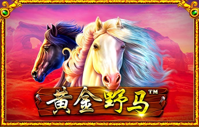 c7官方网站入口官方网站