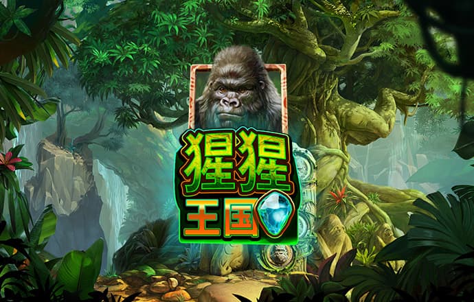 BoB体育在线下载